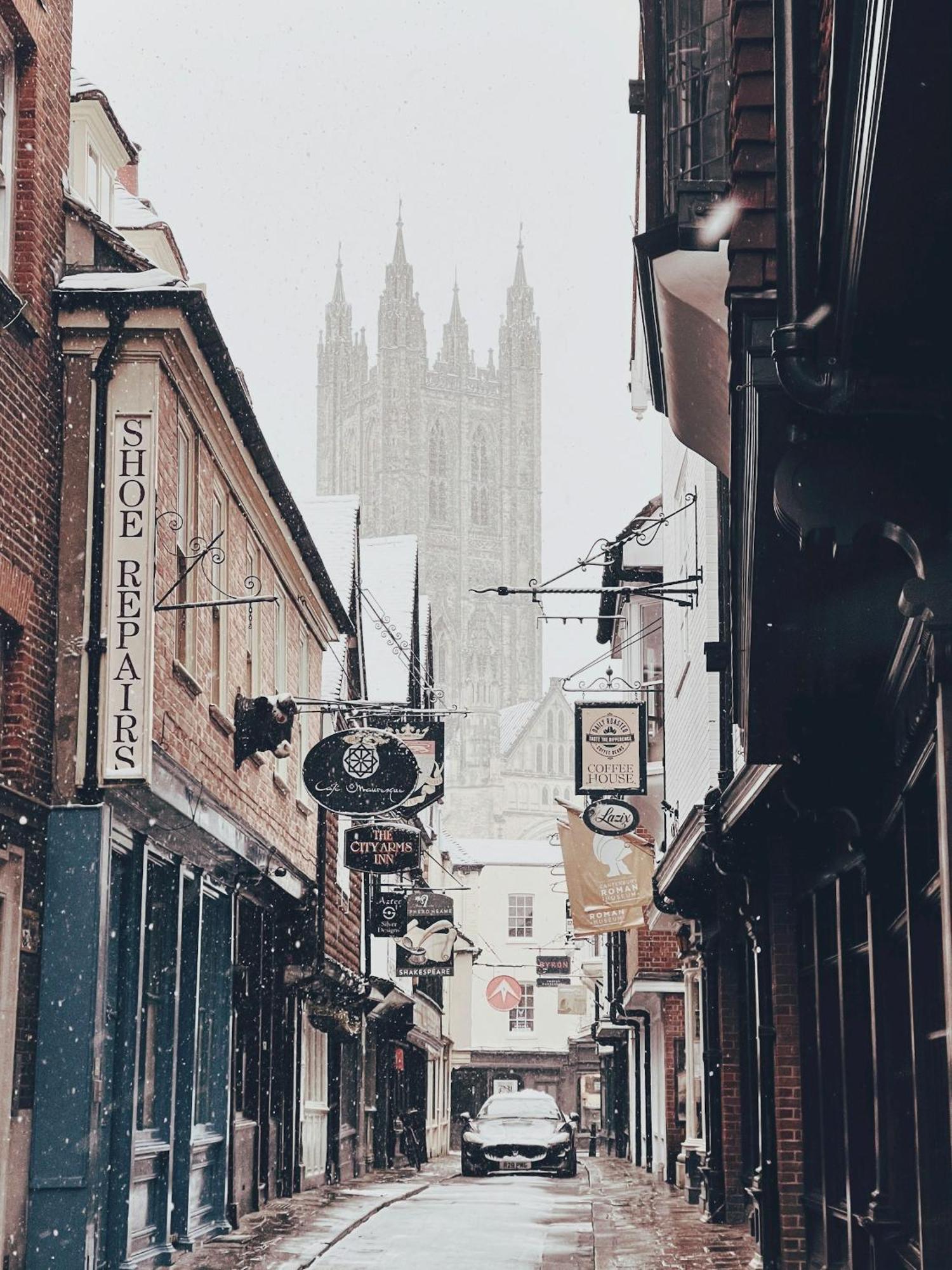 Love Lane - Cosy & Modern City Centre Guest Suite Canterbury Eksteriør bilde